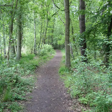 Boeddeker, Lidia Und Dieter Gm 69137 Müritz