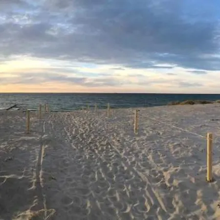 Boeddeker, Lidia Und Dieter Gm 69137