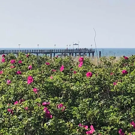 Boeddeker, Lidia Und Dieter Gm 69137 Apartman Müritz