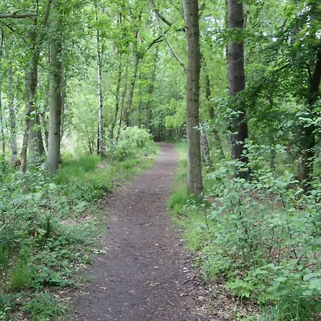 Apartman Boeddeker, Lidia Und Dieter Gm 69137 *